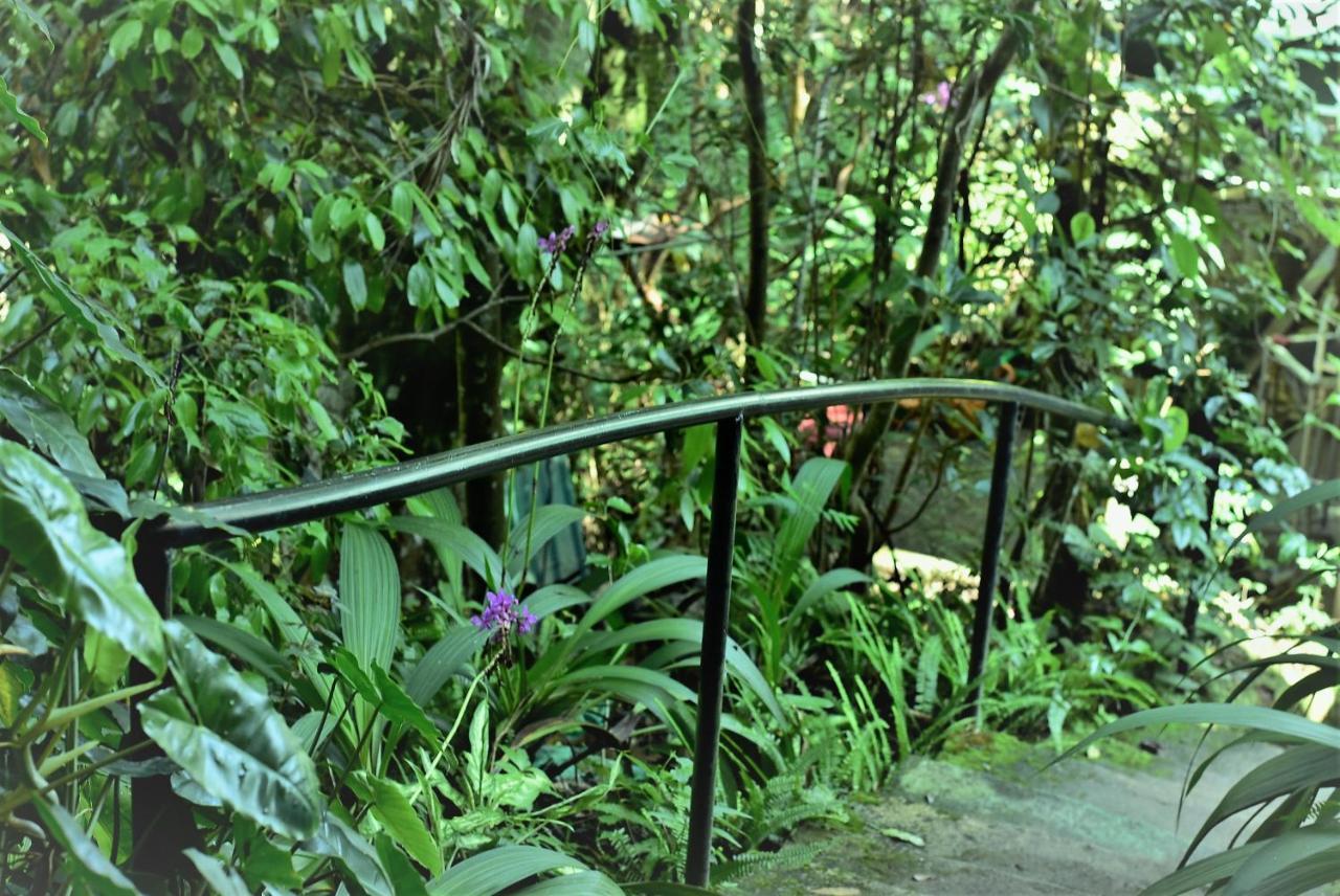 Samadhi Nature Resort Ела Екстериор снимка