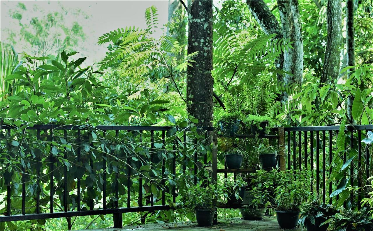Samadhi Nature Resort Ела Екстериор снимка