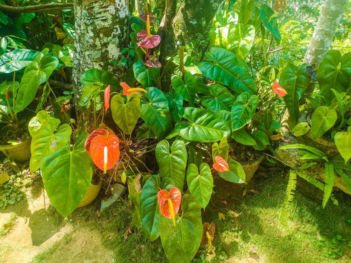 Samadhi Nature Resort Ела Екстериор снимка