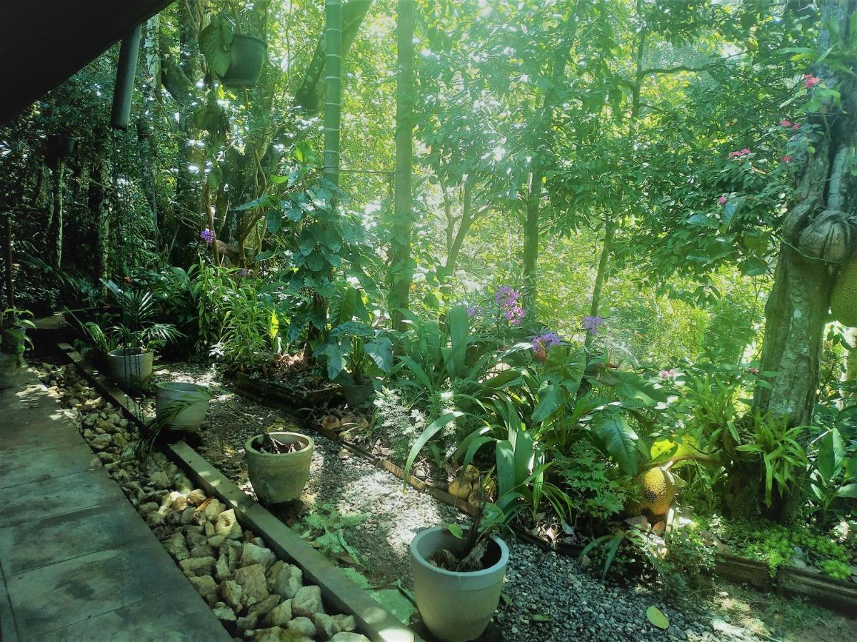 Samadhi Nature Resort Ела Екстериор снимка