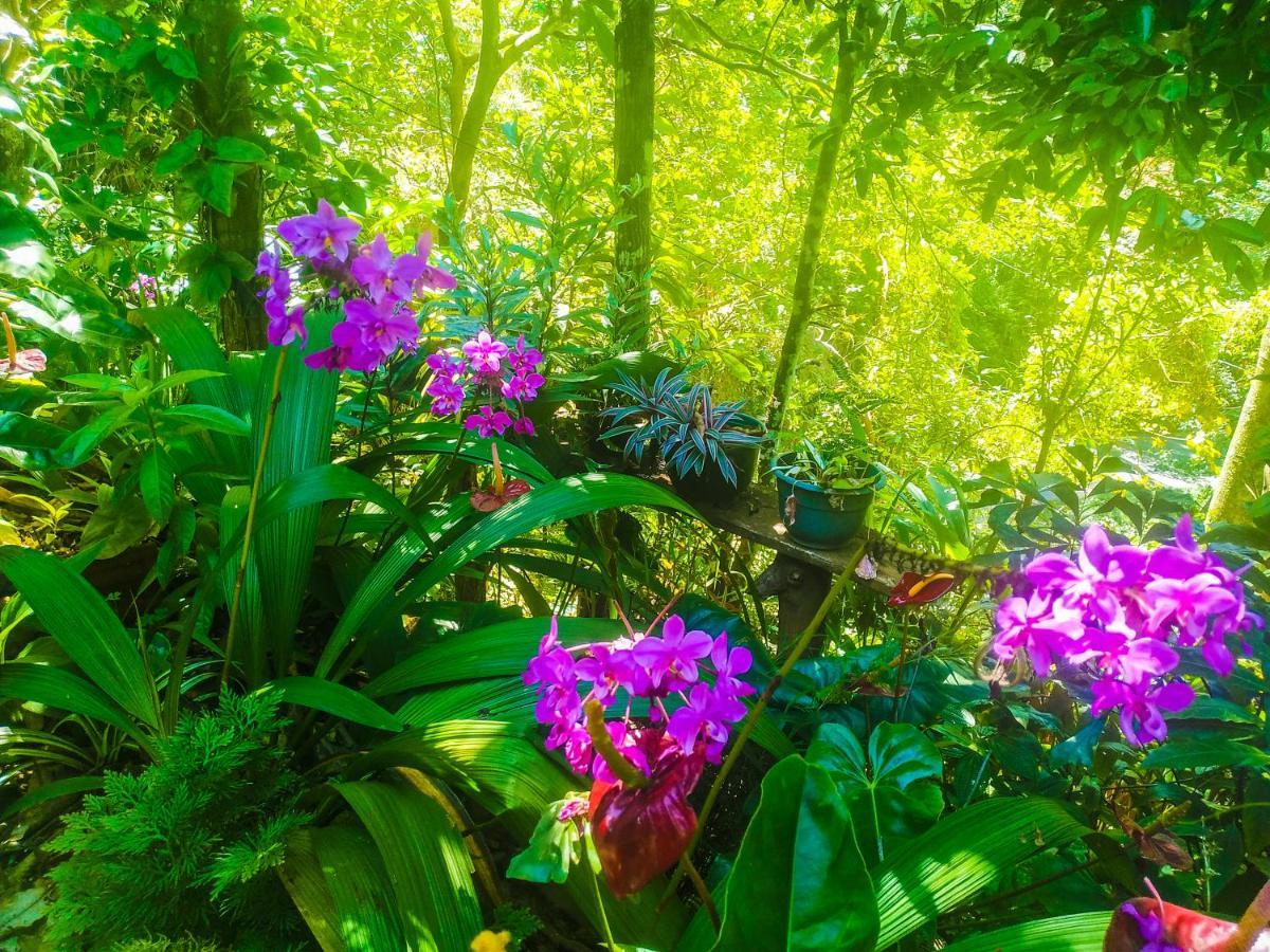 Samadhi Nature Resort Ела Екстериор снимка